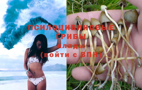 кокс Осинники