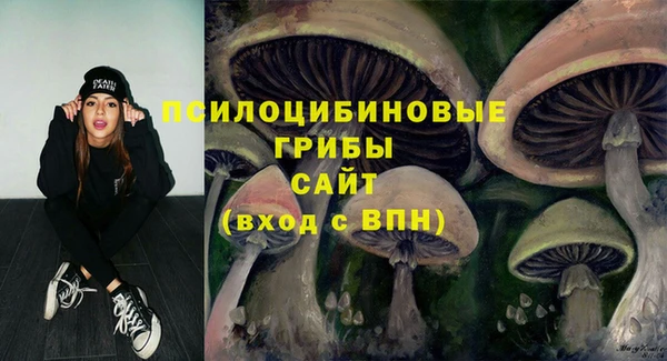 прущая мука Осташков