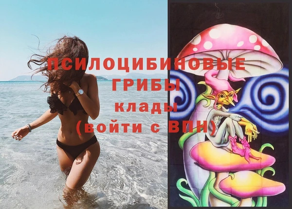 прущая мука Осташков