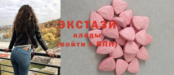 прущие грибы Бежецк