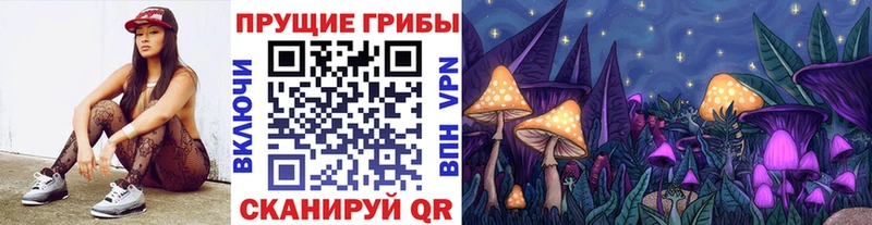 ссылка на мегу как зайти  Владивосток  Галлюциногенные грибы Psilocybe 