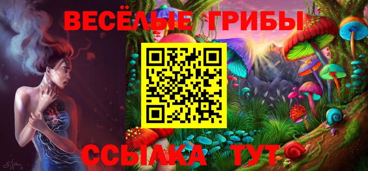 Владивосток  ГАШ  Вход с VPN  Лсд 25  ГЕРОИН  Мефедрон   Cocaine  Бошки Шишки 