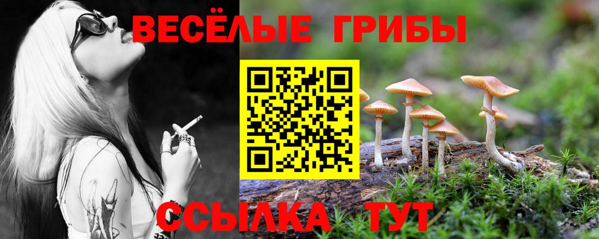Псилоцибиновые грибы Magic Shrooms  Владивосток  Галлюциногенные грибы прущие грибы 